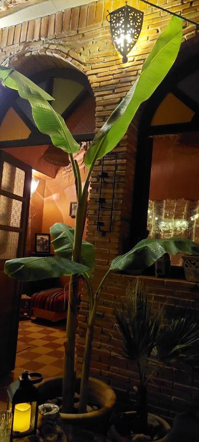 Riad Kainos Marrakesh Esterno foto