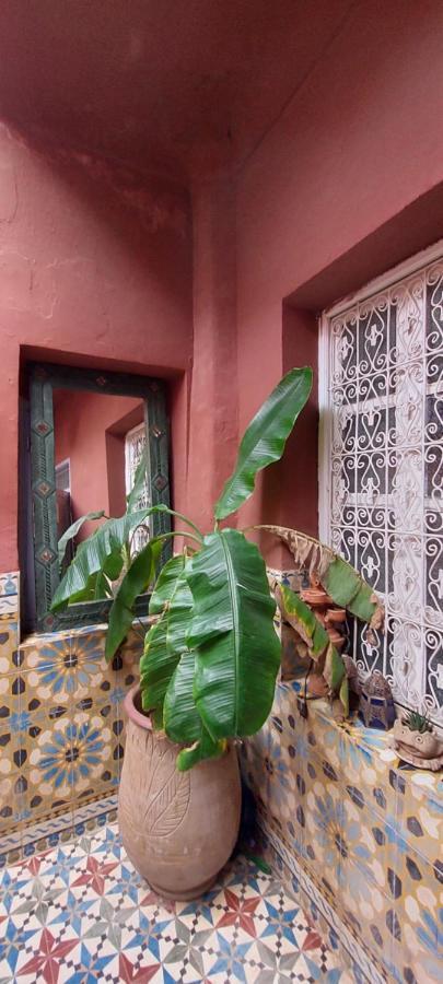 Riad Kainos Marrakesh Esterno foto